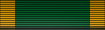 Leadership School Ribbon